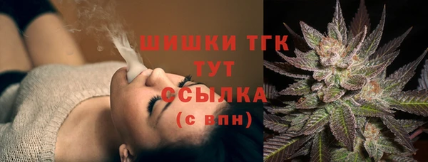 PSILOCYBIN Костерёво