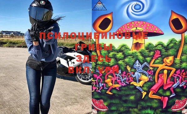 PSILOCYBIN Костерёво
