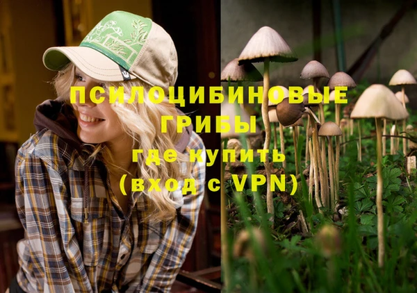 a pvp Бежецк